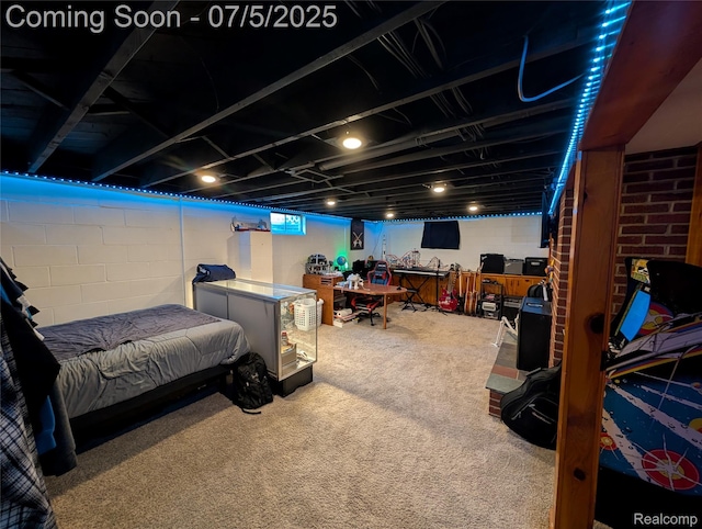 337 W Pine St, Elsie, MI 48831 - photo 29