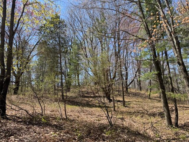 12760 Schofield Rd, Hersey, MI 49639 - photo 46