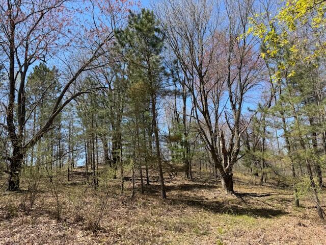 12760 Schofield Rd, Hersey, MI 49639 - photo 47