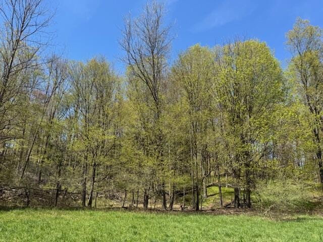 12760 Schofield Rd, Hersey, MI 49639 - photo 53