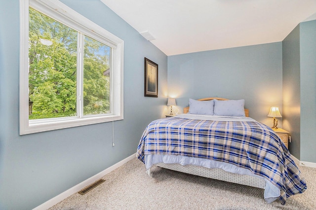 12760 Schofield Rd, Hersey, MI 49639 - photo 24
