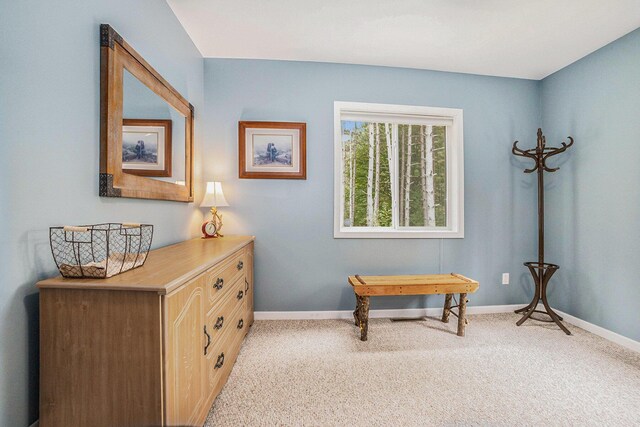 12760 Schofield Rd, Hersey, MI 49639 - photo 26