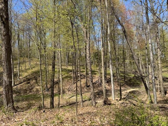 12760 Schofield Rd, Hersey, MI 49639 - photo 39