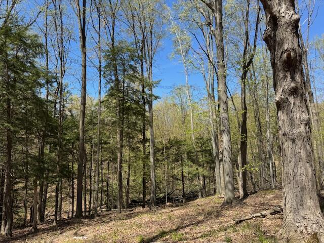 12760 Schofield Rd, Hersey, MI 49639 - photo 36