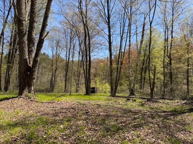 12760 Schofield Rd, Hersey, MI 49639 - photo 34