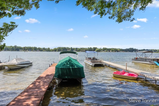 4840 Ironwood Dr, Stanton, MI 48888 - photo 29