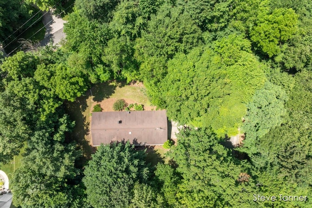4840 Ironwood Dr, Stanton, MI 48888 - photo 31