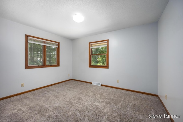 4840 Ironwood Dr, Stanton, MI 48888 - photo 19