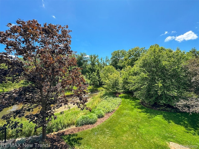 25733 River Dr, Franklin, MI 48025 - photo 77
