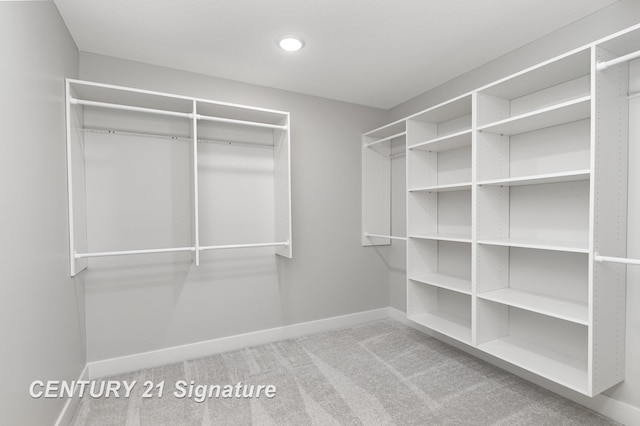 10464 Laurel Woods Pl, Freeland, MI 48623 - spacious closet with carpet