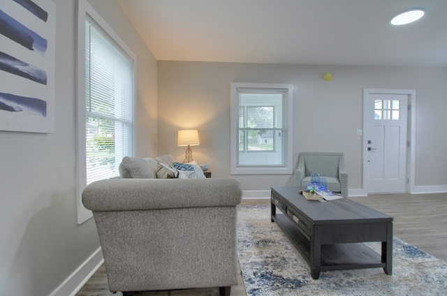 609 W Biddle St, Jackson, MI 49203 - living room with plenty of natural light and wood finished floors