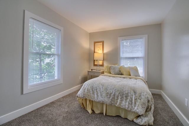609 W Biddle St, Jackson, MI 49203 - carpeted bedroom with baseboards