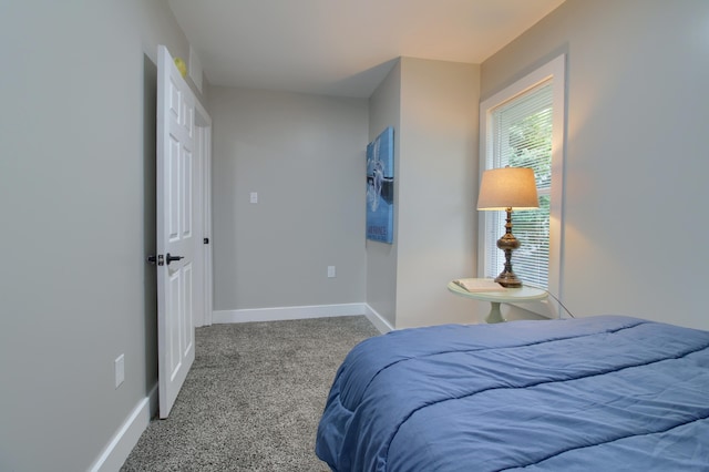 609 W Biddle St, Jackson, MI 49203 - bedroom with carpet and baseboards