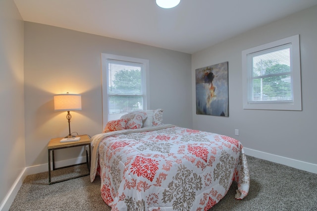 609 W Biddle St, Jackson, MI 49203 - bedroom with carpet flooring and multiple windows