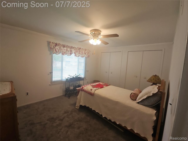 38412 Sutton Dr, Sterling Heights, MI 48310 - bedroom with multiple closets, carpet floors, and ceiling fan