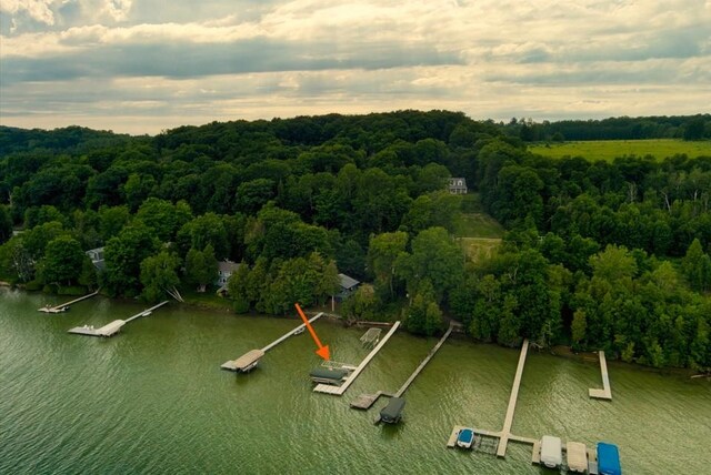 4171 N High Bluffs Dr, Leland, MI 49654
