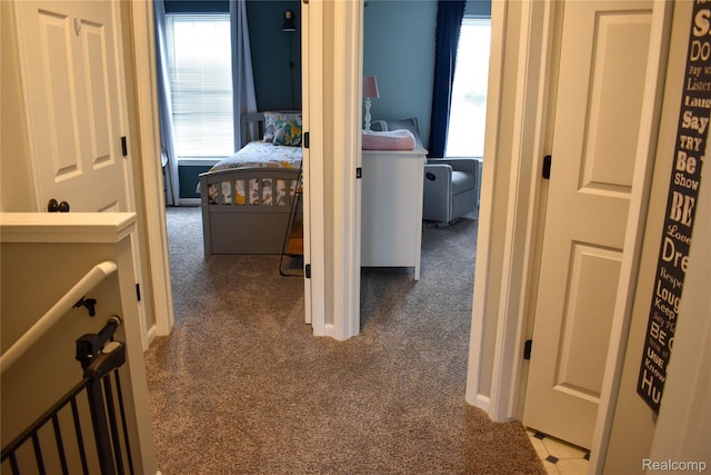 18006 Wingate Dr, Macomb, MI 48042 - hallway featuring carpet floors and healthy amount of natural light