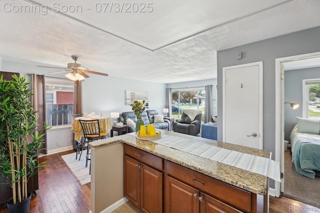 29934 Tamarack Dr, Gibraltar, MI 48134 - kitchen with open floor plan, healthy amount of natural light, a ceiling fan, and a textured ceiling