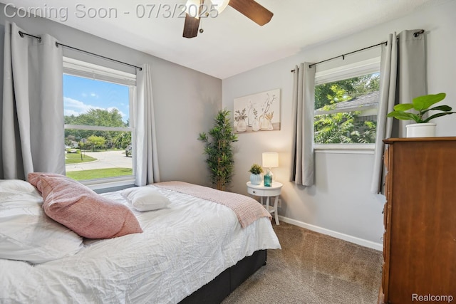 29934 Tamarack Dr, Gibraltar, MI 48134 - carpeted bedroom with baseboards and a ceiling fan