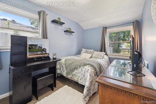 29934 Tamarack Dr, Gibraltar, MI 48134 - bedroom featuring carpet flooring and lofted ceiling