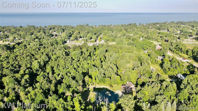 7135 Gardner Line Rd, Lexington, MI 48450 - drone / aerial view of a nearby body of water and a heavily wooded area