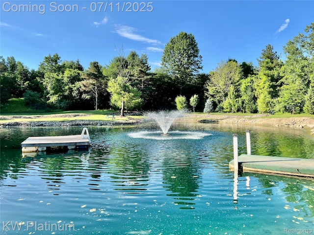 7135 Gardner Line Rd, Lexington, MI 48450 - dock featuring a water view
