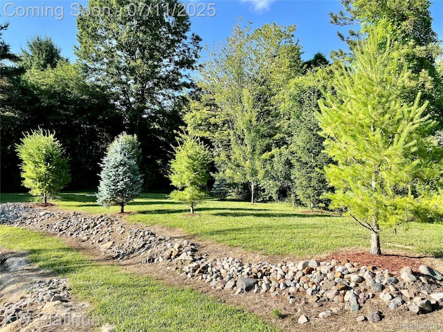 7135 Gardner Line Rd, Lexington, MI 48450 - view of property's community featuring a yard