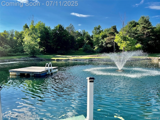 7135 Gardner Line Rd, Lexington, MI 48450 - dock area featuring a water view and view of wooded area