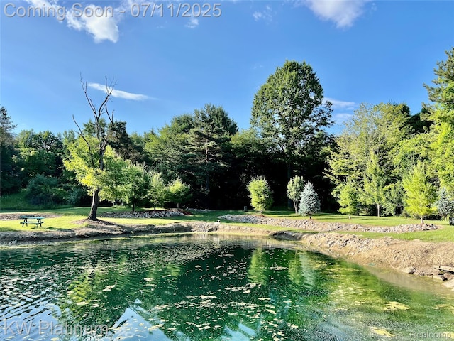 7135 Gardner Line Rd, Lexington, MI 48450 - water view