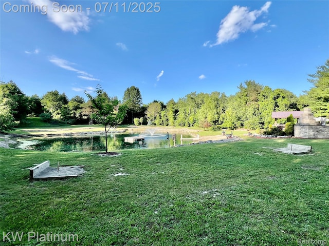 7135 Gardner Line Rd, Lexington, MI 48450 - view of grassy yard featuring a water view