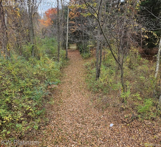 7135 Gardner Line Rd, Lexington, MI 48450 - view of wooded area