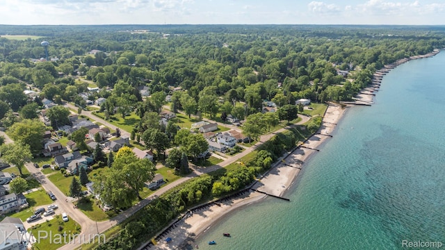 7377 Dogwood Rd, Lexington, MI 48450 - view of property location featuring a nearby body of water and a forest