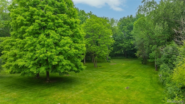 28468 Schroeder St, Farmington Hills, MI 48331 - photo 49