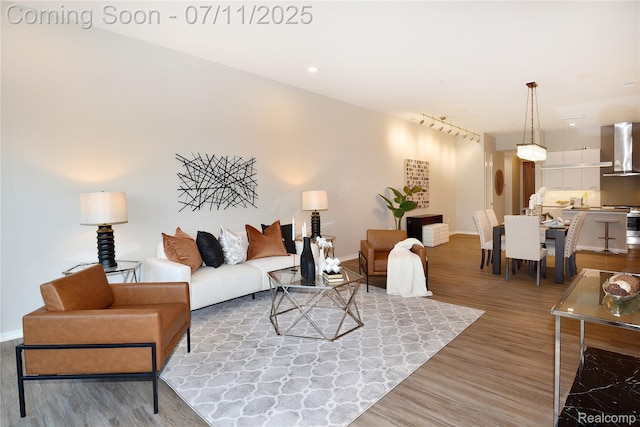 750 Forest Ave Unit 202, Birmingham, MI 48009 - living area with light wood-style floors