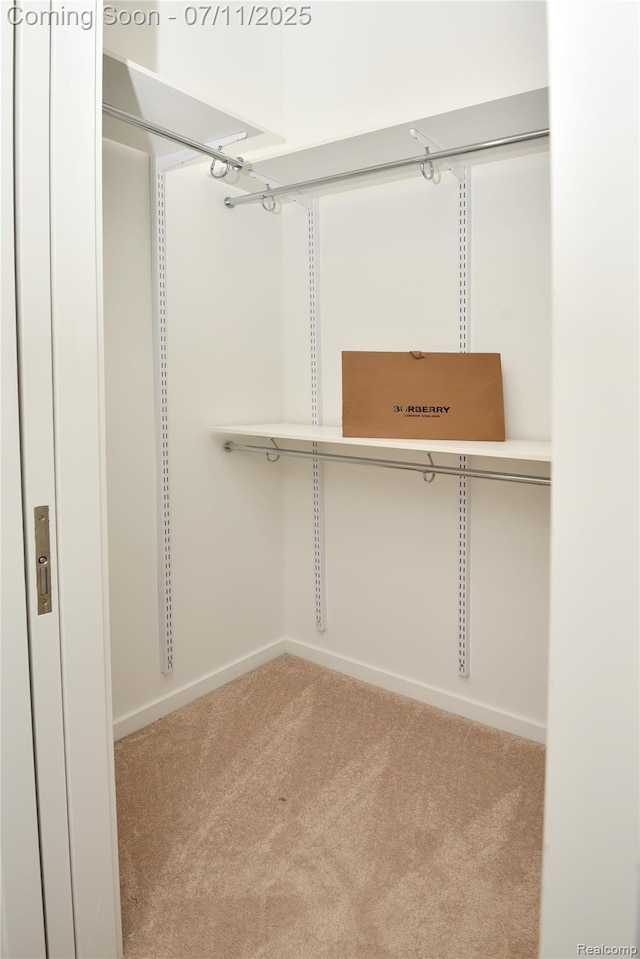 750 Forest Ave Unit 202, Birmingham, MI 48009 - walk in closet featuring carpet flooring