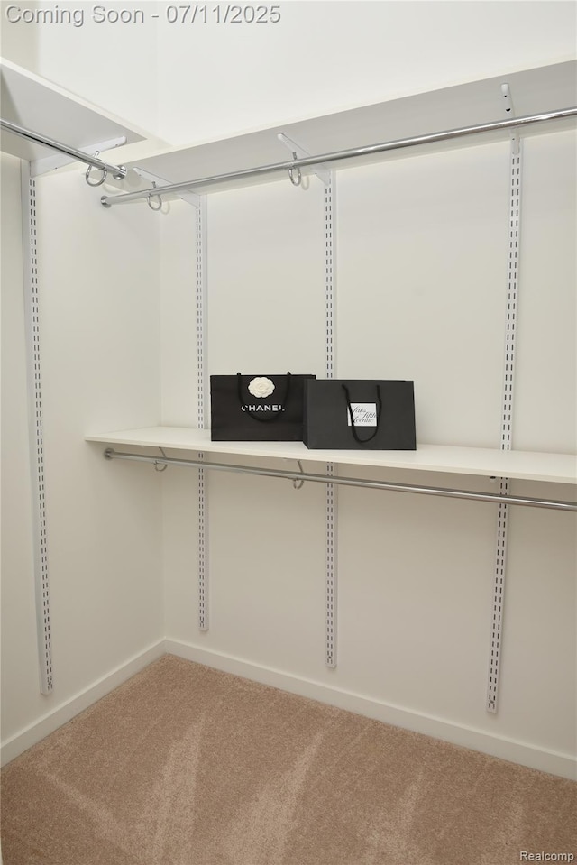 750 Forest Ave Unit 202, Birmingham, MI 48009 - walk in closet featuring carpet