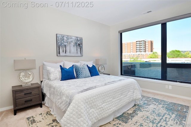 750 Forest Ave Unit 202, Birmingham, MI 48009 - bedroom with carpet and baseboards