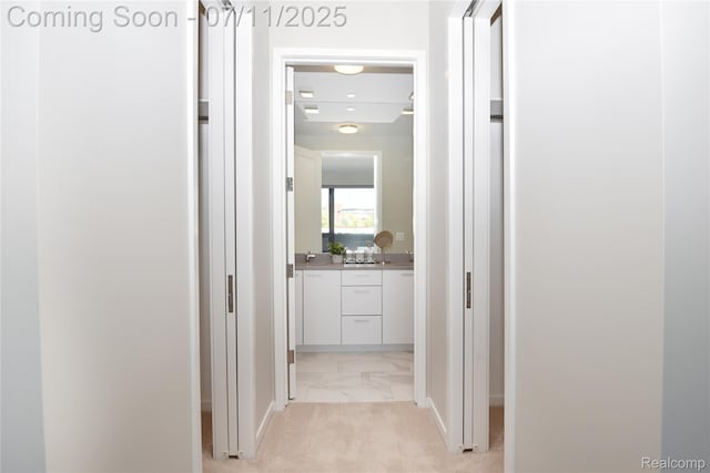 750 Forest Ave Unit 202, Birmingham, MI 48009 - corridor with light marble finish flooring and baseboards