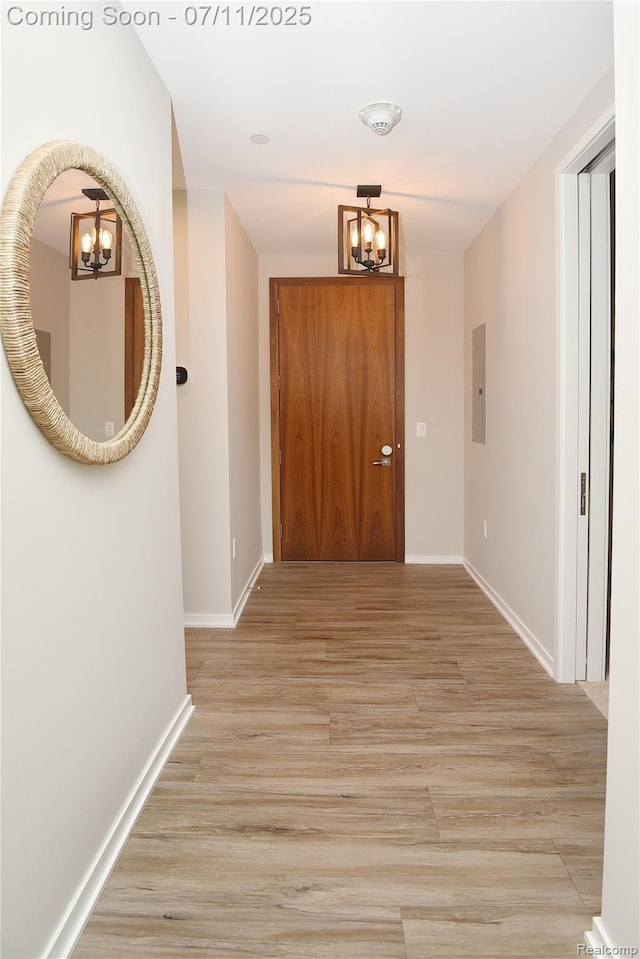 750 Forest Ave Unit 202, Birmingham, MI 48009 - corridor with a chandelier, light wood-style floors, and electric panel