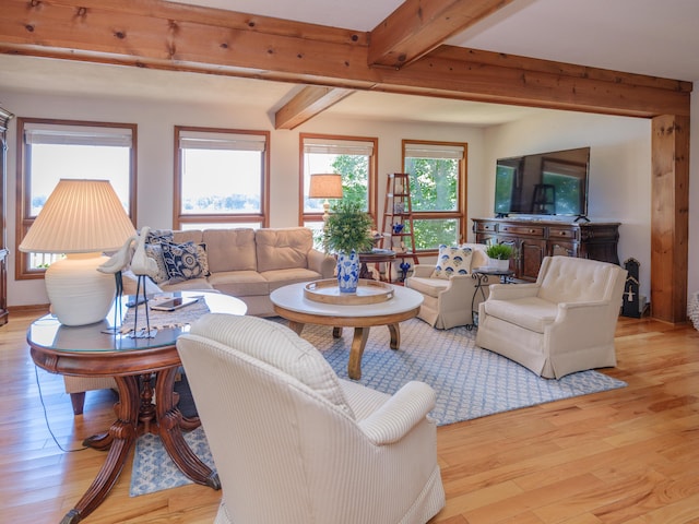 44850 Woodman Dr, Paw Paw, MI 49079 - living area featuring beamed ceiling and light wood finished floors