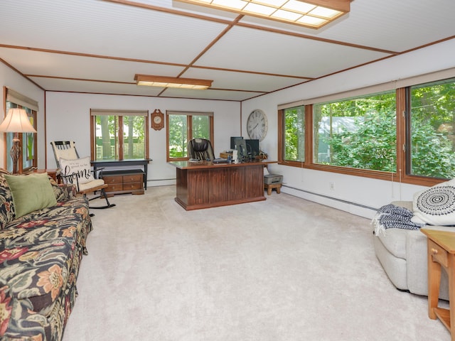 44850 Woodman Dr, Paw Paw, MI 49079 - carpeted office with a baseboard heating unit and plenty of natural light