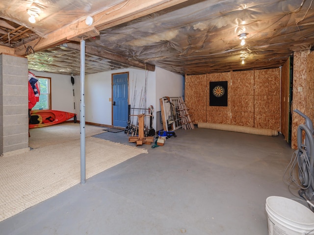 44850 Woodman Dr, Paw Paw, MI 49079 - view of below grade area