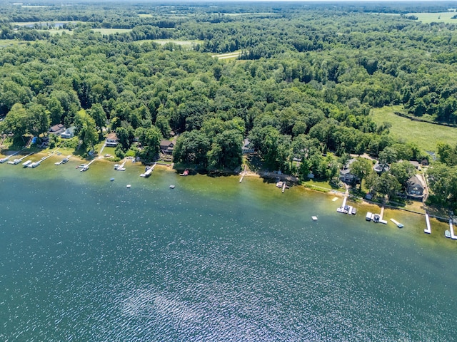 44850 Woodman Dr, Paw Paw, MI 49079 - view of property location with a large body of water