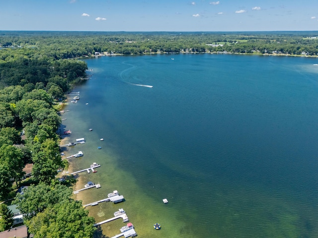 44850 Woodman Dr, Paw Paw, MI 49079 - bird's eye view of a nearby body of water and a forest