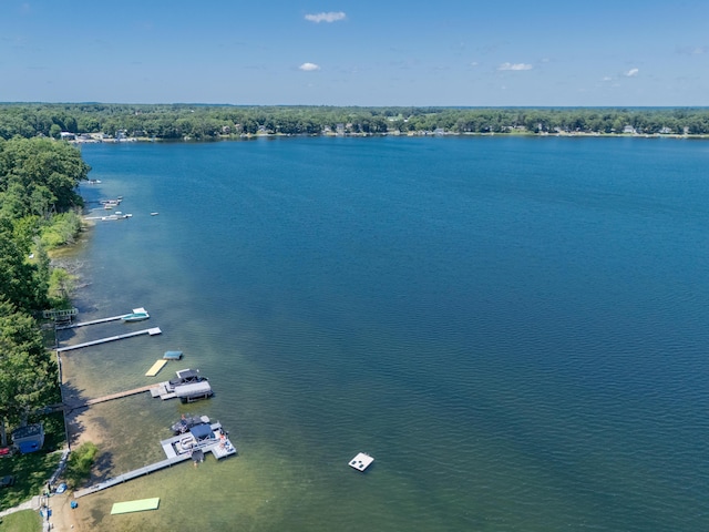 44850 Woodman Dr, Paw Paw, MI 49079 - water view