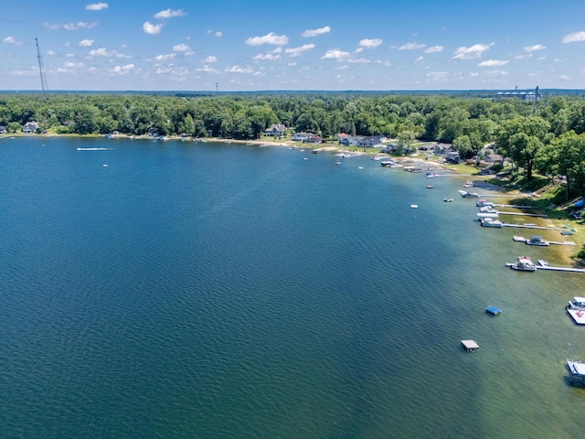 44850 Woodman Dr, Paw Paw, MI 49079 - aerial view of a large body of water