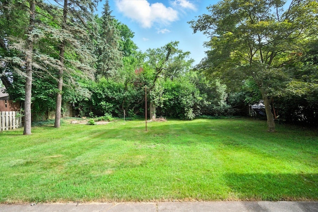 500 Heyser St, Jackson, MI 49203 - photo 40