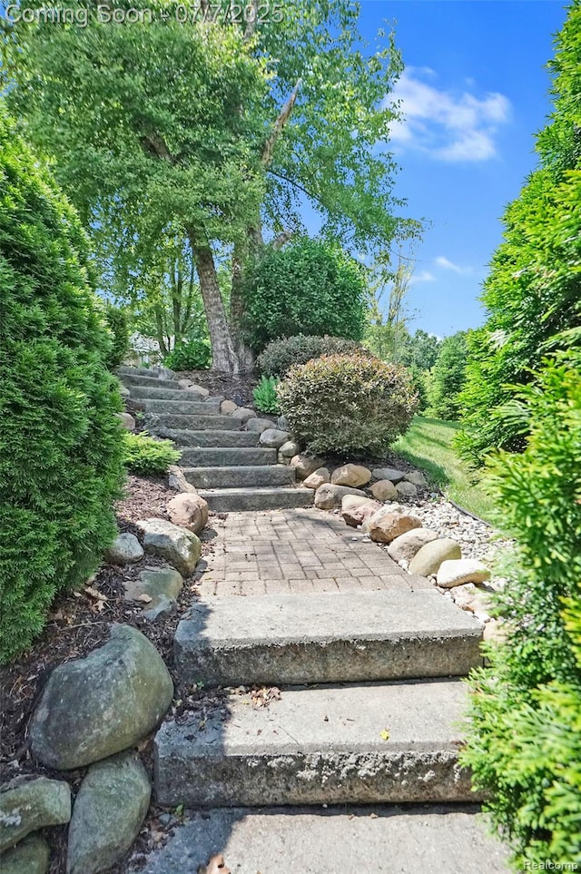 2545 Hartun Dr, Brighton, MI 48114 - view of yard