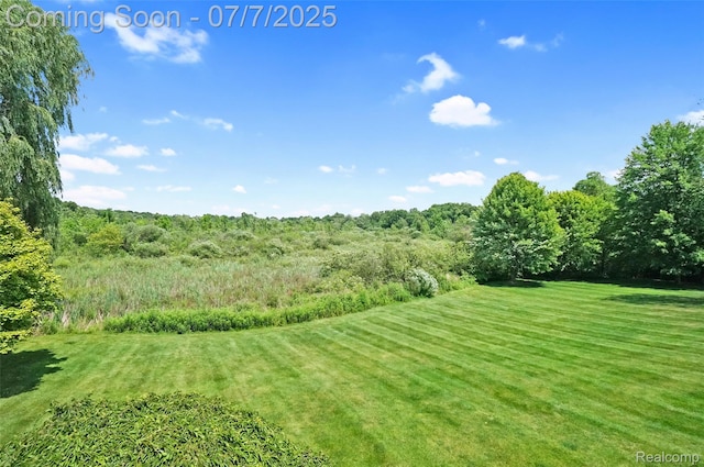 2545 Hartun Dr, Brighton, MI 48114 - view of grassy yard