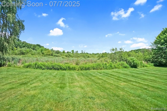 2545 Hartun Dr, Brighton, MI 48114 - view of grassy yard